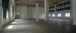 Tuas Avenue 12 (D22), Warehouse #478682231